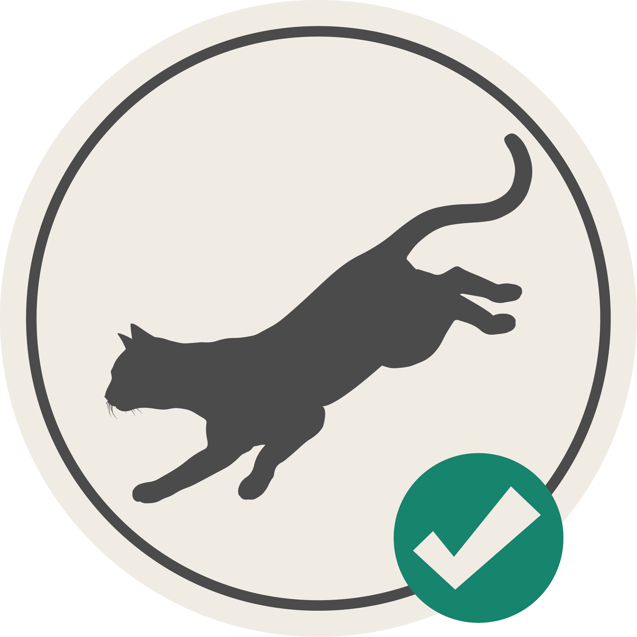 Actieve katten